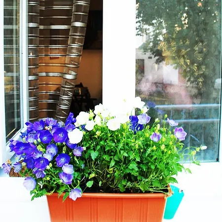 Vlhka Apartment Brno